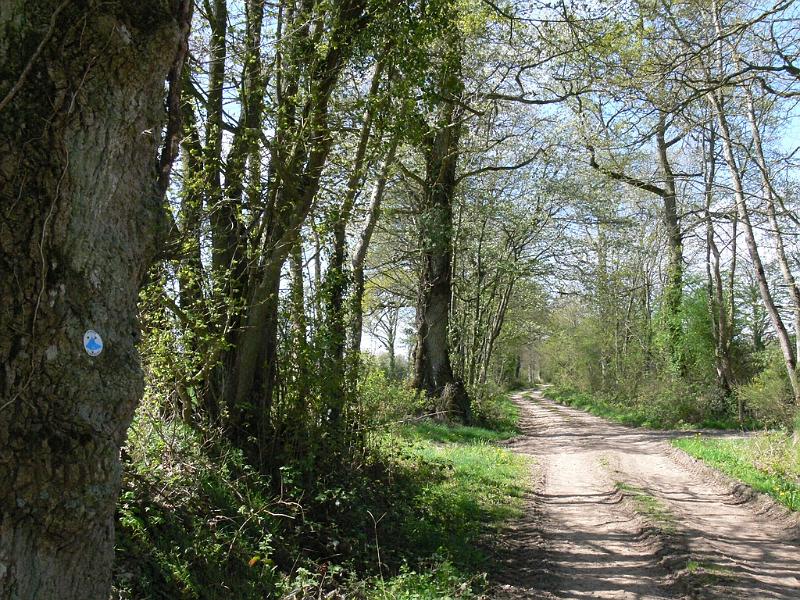 Mont Saint Michel 2010 - 196.jpg